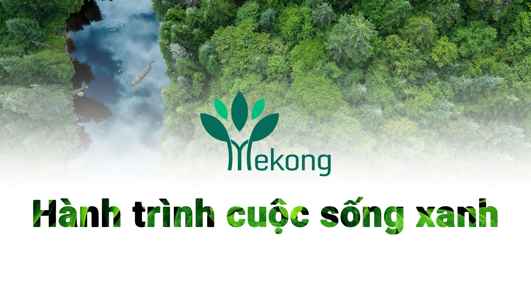 Trang chủ MDF Mekong
