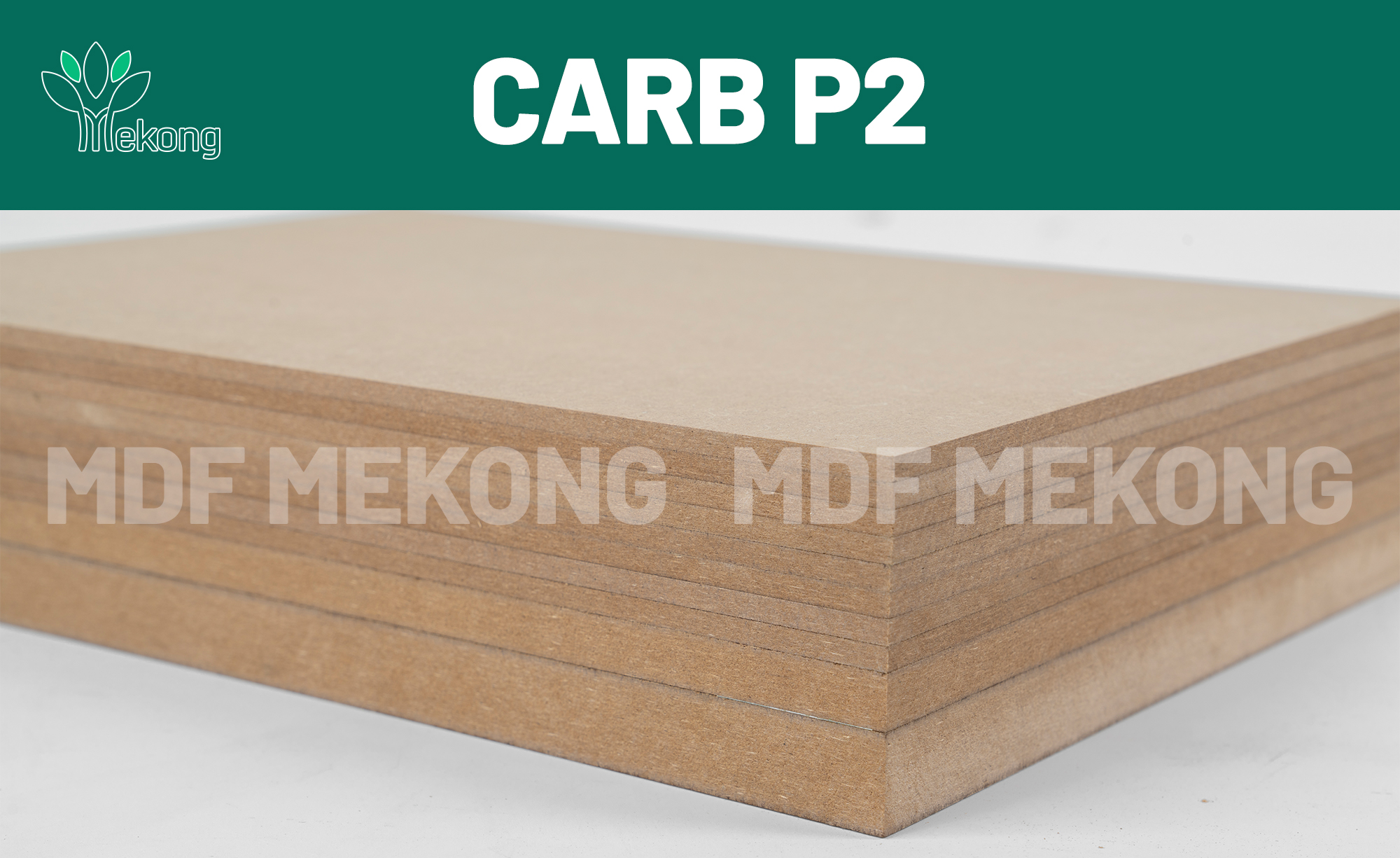 Tin Tức - MDF Mekong