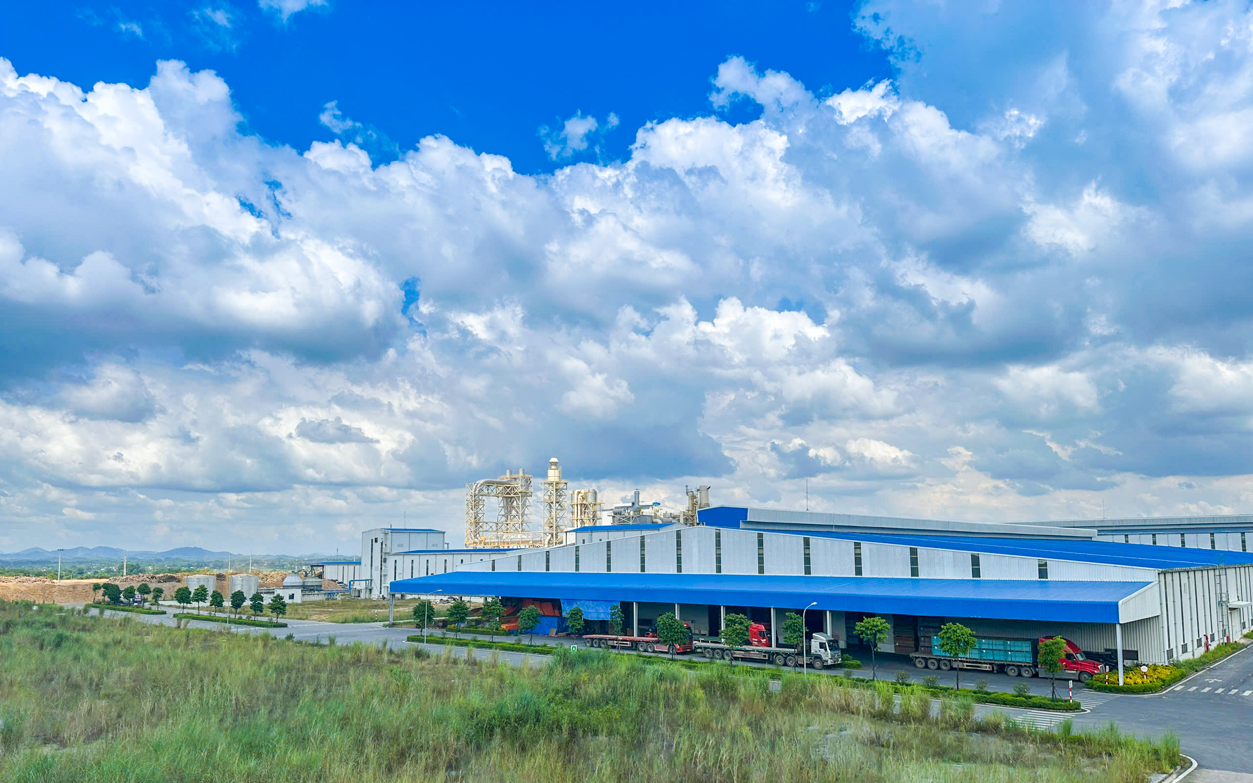 Trang Chủ - MDF Mekong