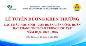 MDF Mekong
