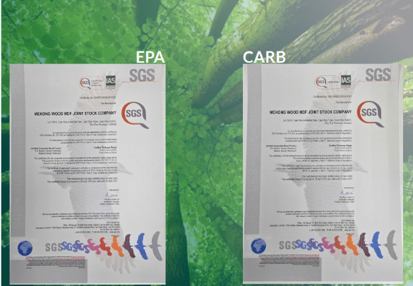CARB-P2/EPA là gì